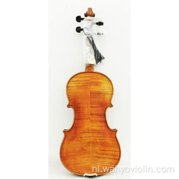 Ebbenhout gemonteerd vast hout viool